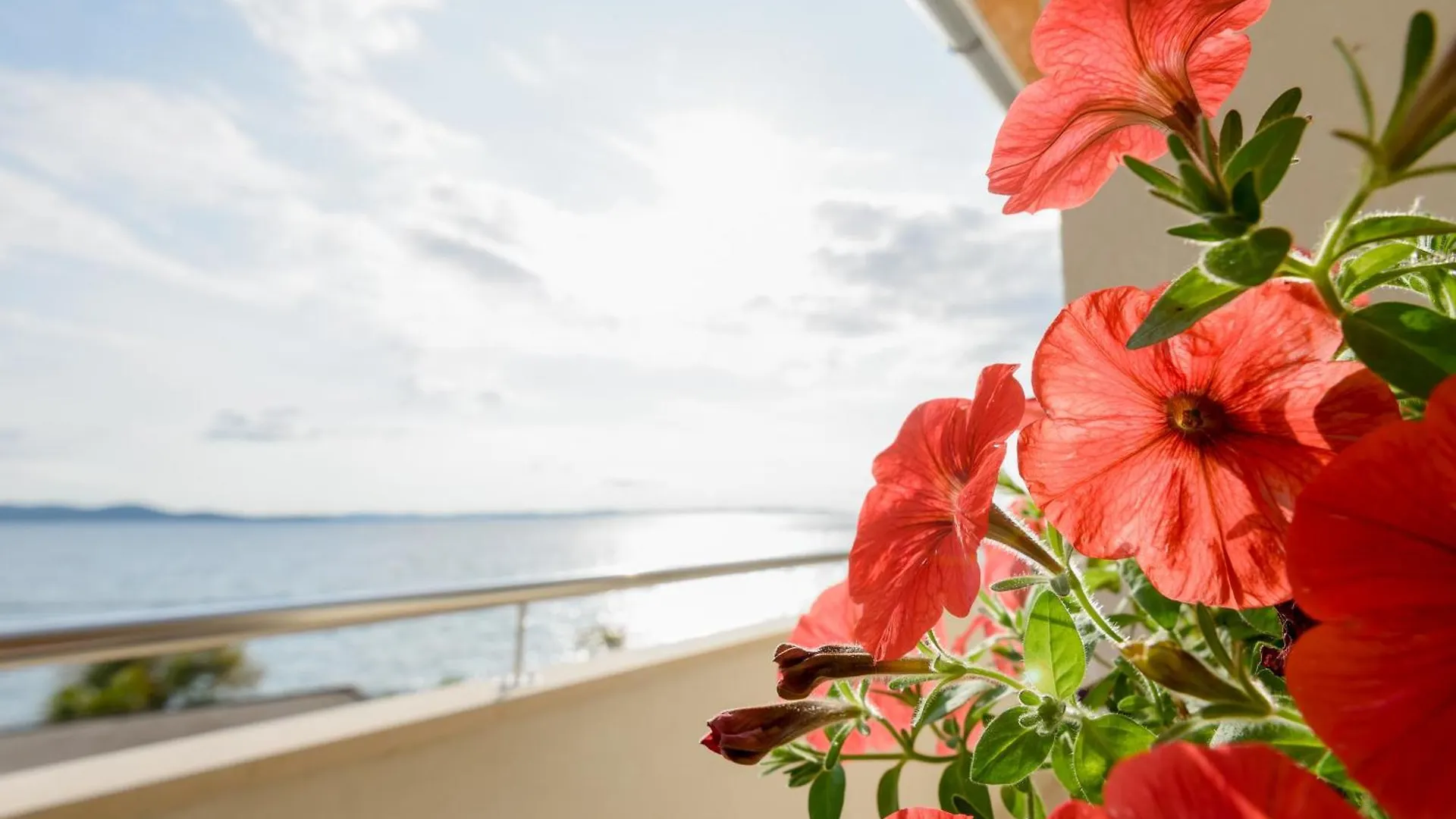 Spacious Apartment Near The Sea Zadar